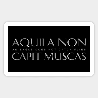 Latin Inspirational Quote: Aquila non capit muscas (An eagle does not catch flies) Sticker